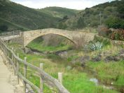 2009-04-17-035-Bridge