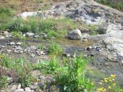 2009-04-17-047-Stream