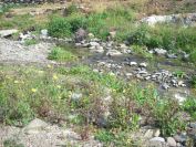 2009-04-17-048-Stream