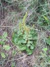 2009-04-17-070-Unknown