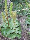 2009-04-17-073-Unknown