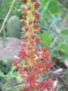 2009-04-17-094-Unknown