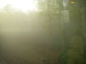 2009-04-18-002-Foggy-Dawn