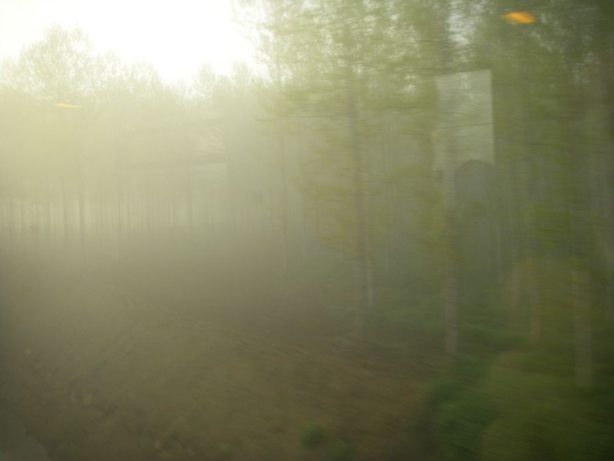 2009-04-18-002-Foggy-Dawn
