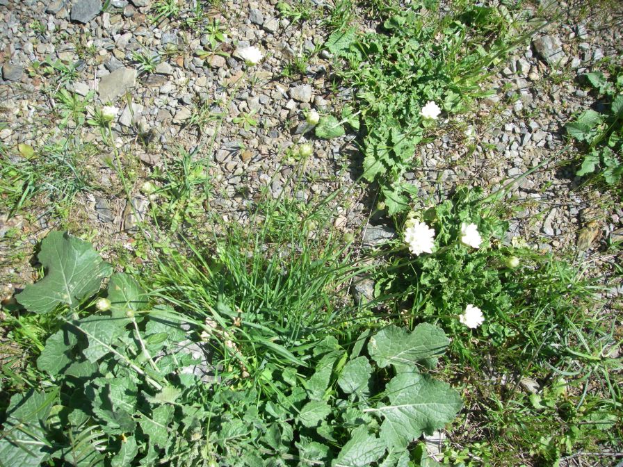2009-04-18-037-Thrift