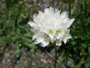 2009-04-18-038-Thrift