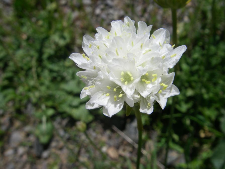 2009-04-18-038-Thrift
