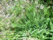 2009-04-18-039-Thrift