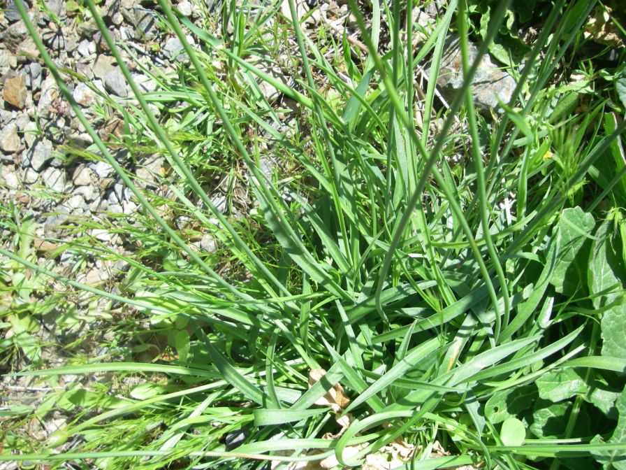 2009-04-18-039-Thrift