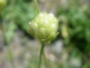 2009-04-18-041-Thrift
