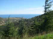 2009-04-18-053-Cerbere-in-the-Distance