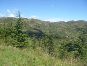 2009-04-18-054-France-Tree-Clad-Hills