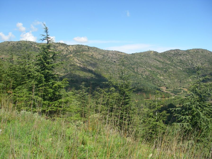 2009-04-18-054-France-Tree-Clad-Hills