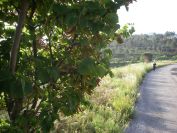 2009-05-24-005-Our-route-up