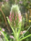 2009-05-24-075-Unknown