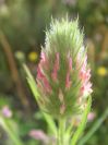2009-05-24-076-Unknown