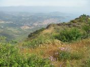 2009-05-24-095-View-Banyuls