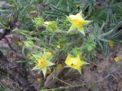 2009-05-24-098-Unknown