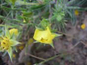 2009-05-24-099-Unknown