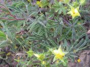 2009-05-24-100-Unknown