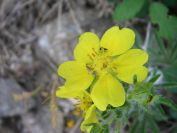 2009-05-24-108-Unknown