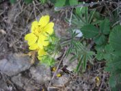 2009-05-24-109-Unknown