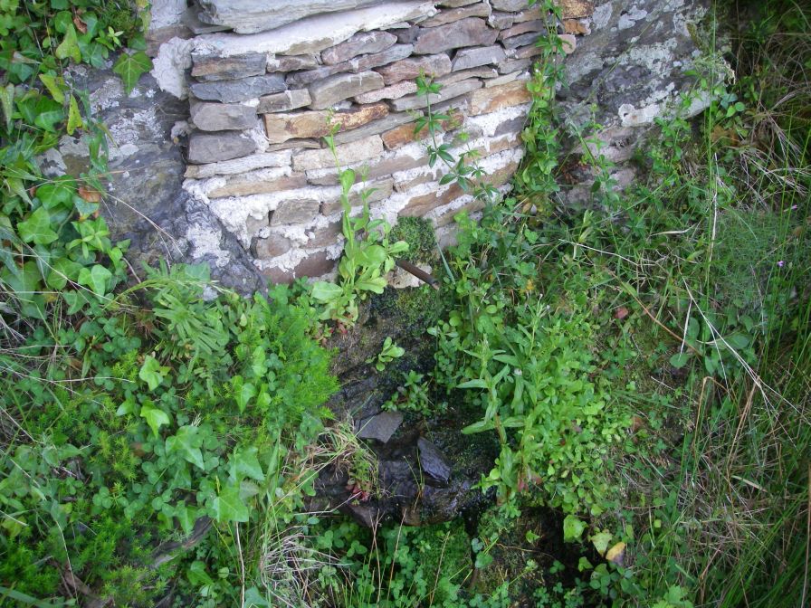 2009-05-24-123-Spring