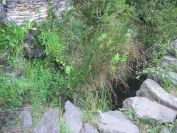 2009-05-24-124-Spring