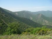 2009-05-24-129-View