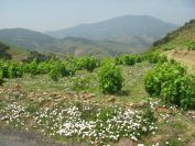 2009-05-24-162-Mountain-View