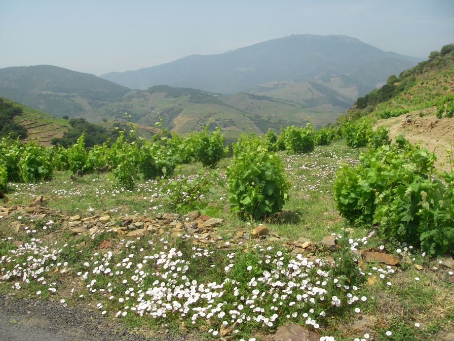 2009-05-24-162-Mountain-View