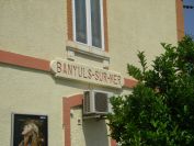 2009-05-24-166-Bauyuls-railway-station