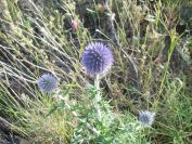 2009-05-24-179-Eringeum