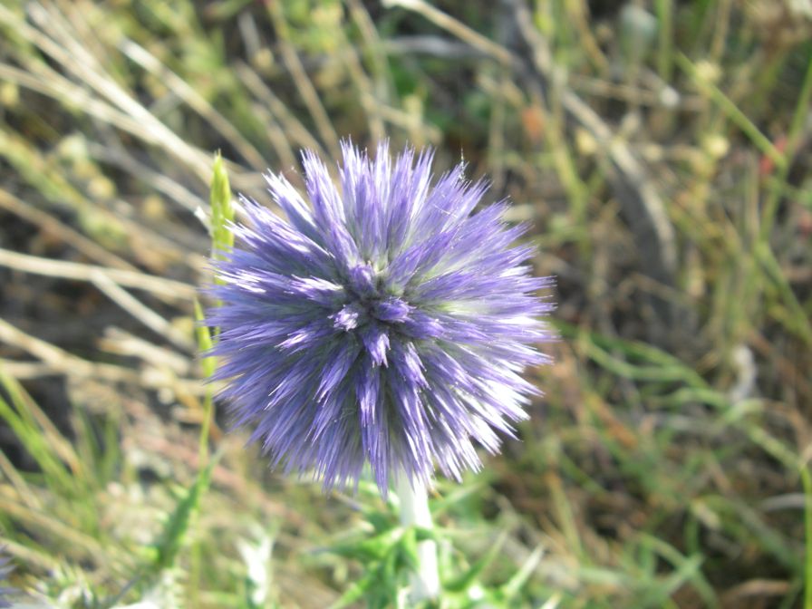 2009-05-24-180-Eringeum
