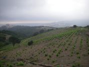 2009-05-25-003-Banyuls