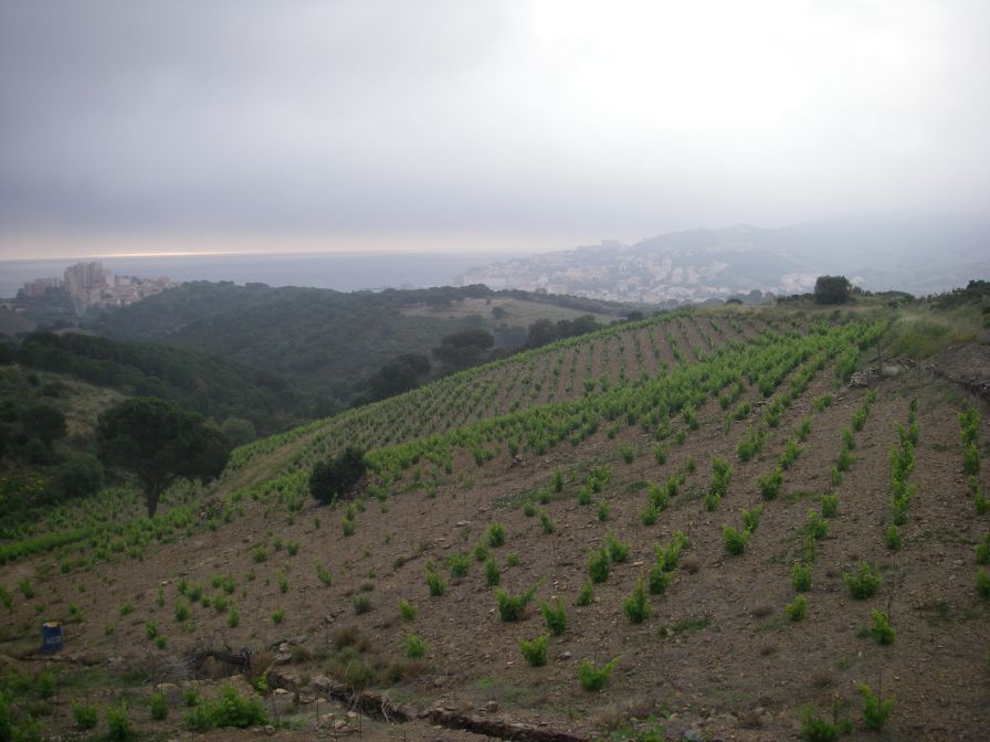 2009-05-25-003-Banyuls