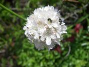 2009-05-25-029-Thrift