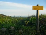 2009-05-26-009-Footpath-sign-and-view