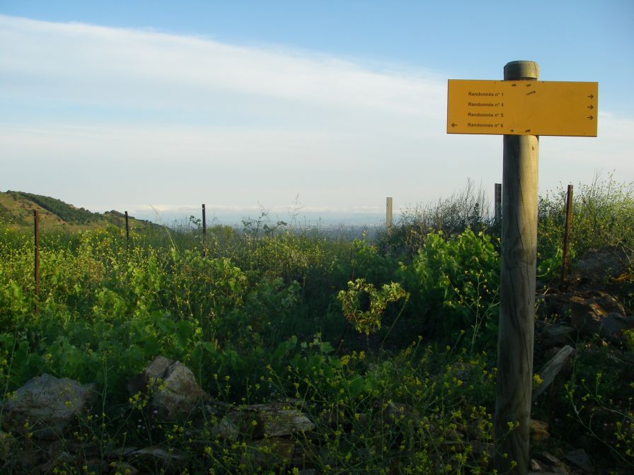 2009-05-26-009-Footpath-sign-and-view