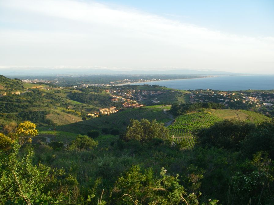 2009-05-26-010-View