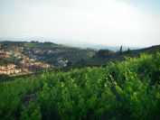 2009-05-26-020-View