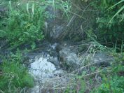 2009-05-26-030-Stream