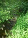2009-05-26-043-Stream
