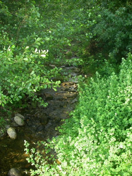 2009-05-26-043-Stream