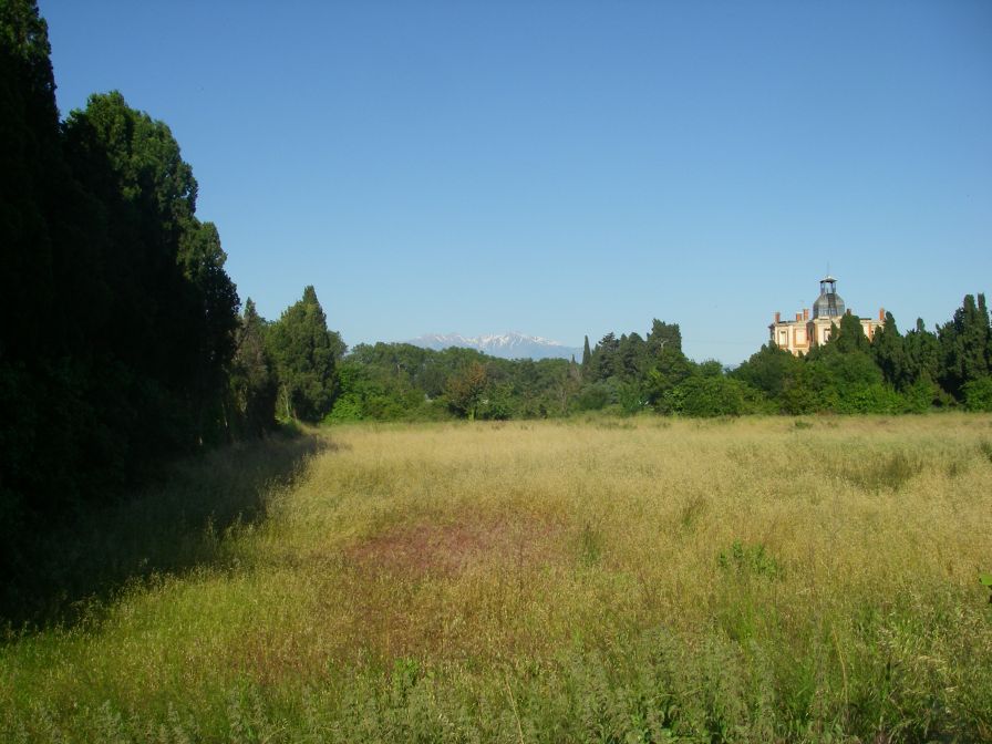 2009-05-27-006-Chateau-near-Elne