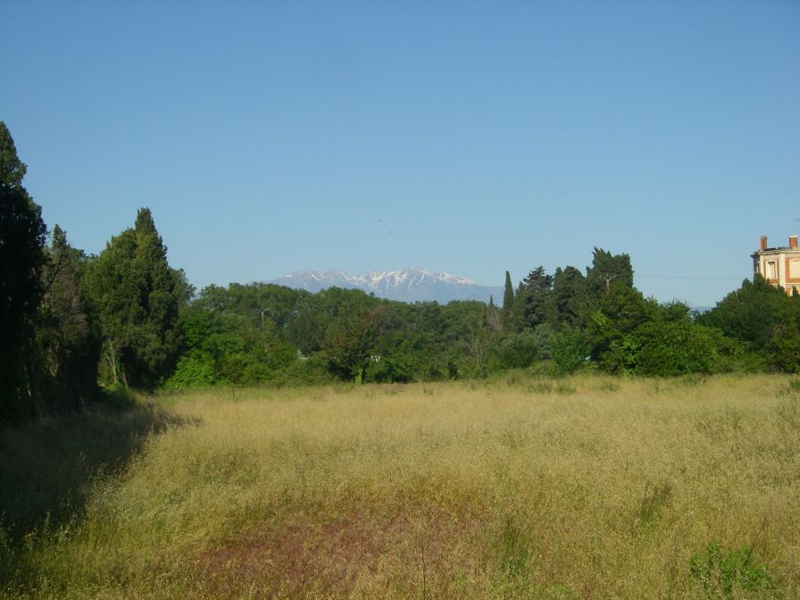 2009-05-27-007-Snowy-Peaks