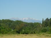 2009-05-27-009-Snowy-Peaks