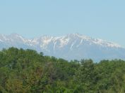 2009-05-27-011-Snowy-Peaks