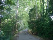 2009-05-27-012-Our-Route