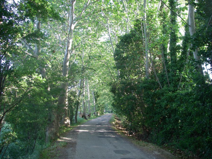 2009-05-27-012-Our-Route
